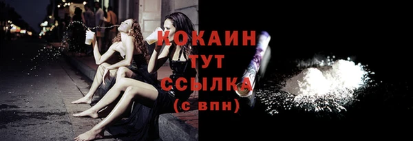 Альфа ПВП Ельня