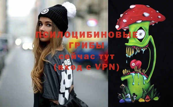 Альфа ПВП Ельня